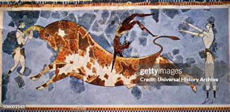 bull leaping fresco stock  high res pictures  images