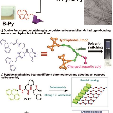 Supramolecular Self Assembly Of Aromatic Peptides A General