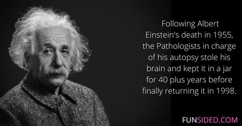 61 Fun And Surprising Albert Einstein Facts FunSided Funsided