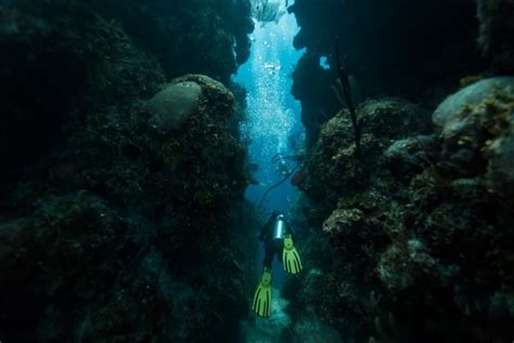 Blue Hole of Belize | Belize Blue Hole