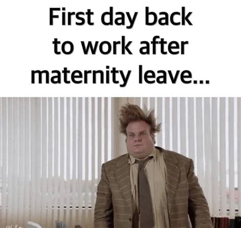 Pin By Mary On Memes Back To Reality Quotes Maternity Leave Quotes