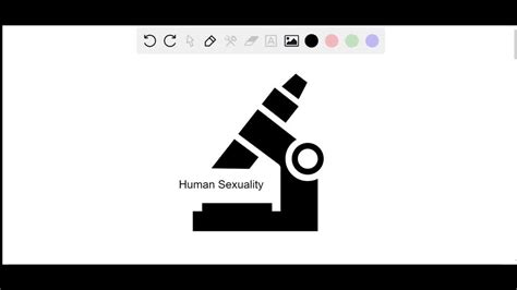 Solved Direct Laboratory Experimentation And Observation Of Human