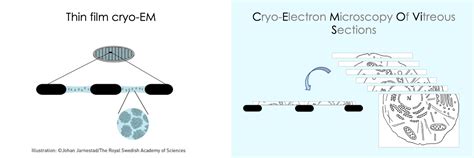 cryo em laboratoire de physique des solides