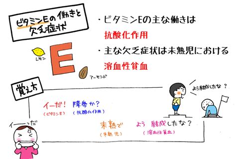 ビタミンeの働きと欠乏症状の覚え方。「イーだ！降参か？ 未熟でよう結成したな？」で覚えてみよう。 マンガで看護師国家試験にうかーる。