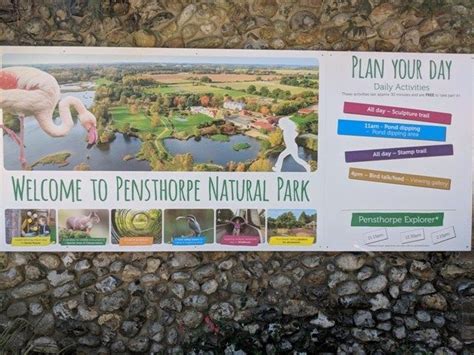 A Visit To Pensthorpe Natural Park Nr Fakenham Norfolk Natural Park