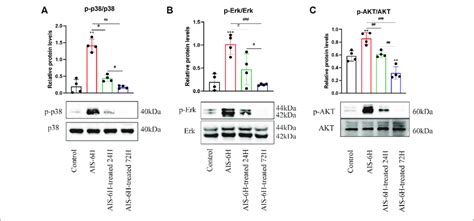 Ais Promoted Phosphorylation Of P Mapk Erk And Pi K Akt In