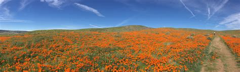 Antelope Loop Trail California AllTrails