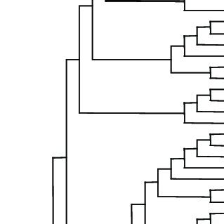 Phylogenetic tree of 77 Austronesian languages. WMP, Western ...