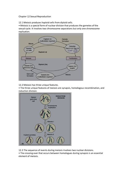 BIOL 10 Summary Ch12 Chapter 12 Sexual Reproduction 12 Meiosis