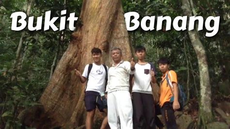 Batu Pahat Jungle Trekking Bukit Banang Wild Series Malaysia Hiking