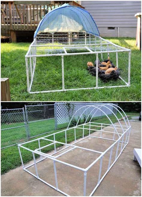 Free Diy Pvc Chicken Tractor Plans How To Build