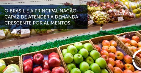 Principais produtos agrícolas exportados pelo Brasil FoodChainID