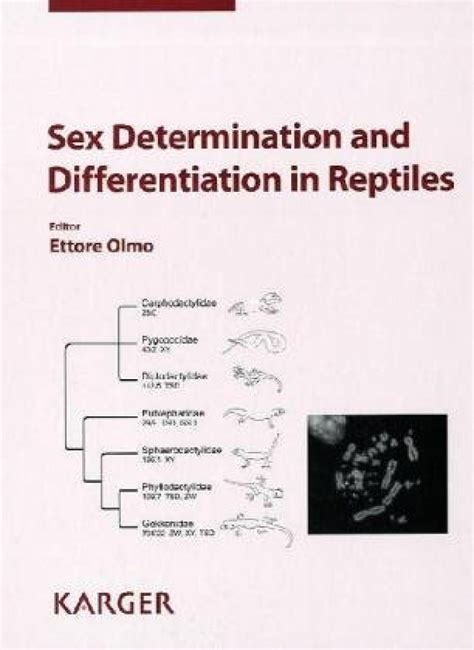 Sex Determination And Differentiation In Reptiles NHBS Academic