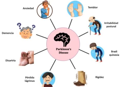 Descubre Todo Sobre Patologías Y Lesiones Guía Completa