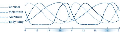 Overview Of The Circadian Rhythms Of Cortisol Melatonin Body