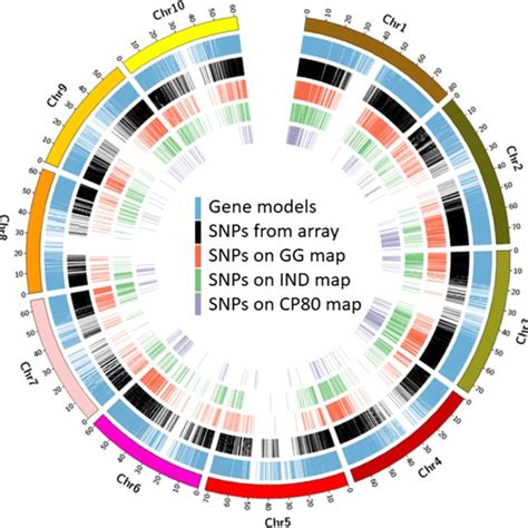 Development Of An Axiom Sugarcane100k Snp Array For Genetic Map