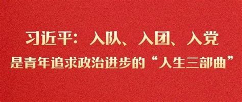 习近平：入队、入团、入党，是青年追求政治进步的“人生三部曲”遵义市基金会服务