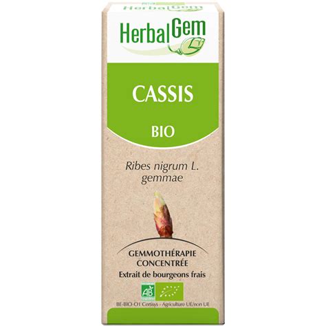 Cassis Herbalgem Gemmoth Rapie Bio Adh M Ar M Bio