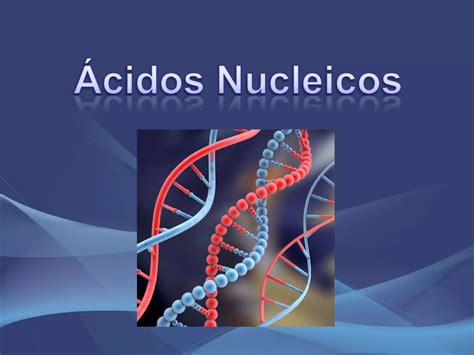 áCidos Nucleicos PPT