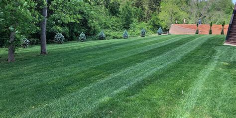 Lawn Fertilization David S Lawn Service Inc