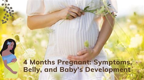 4 Months Pregnant Symptoms Belly And Babys Development Wealth Wise