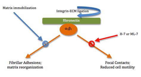 Crosstalk Encyclopedia Mdpi