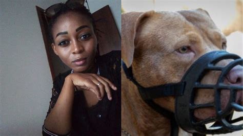 Ragazza Uccisa A Morsi Da 5 Cani A Latina Denunciato Per Omicidio Colposo Il Proprietario DIRE It