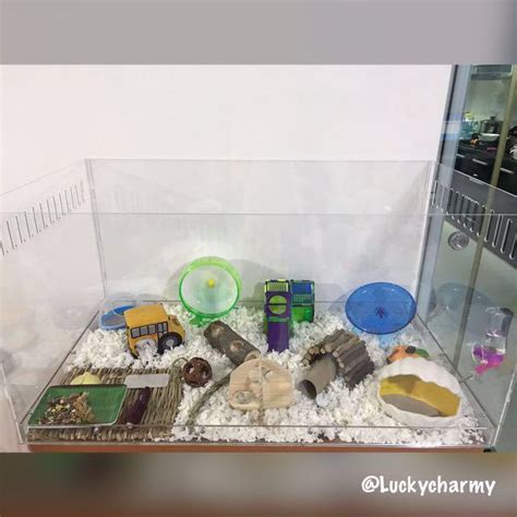 PREORDER Acrylic Hamster Cage Tank Pet Supplies Homes Other Pet