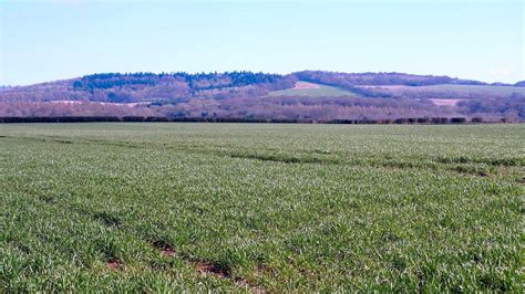 Land For Events Sheepcote Farm