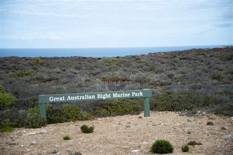 Great Australian Bight stock photo. Image of green, south - 264735946