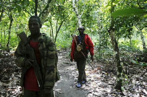 Ivory Coast Seeks To Save Forests From Illegal Cocoa Boom Reuters