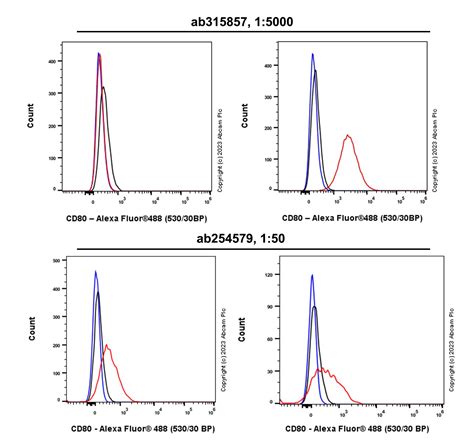 Anti CD80 Antibody RM1104 KO Tested Ab315857 Abcam