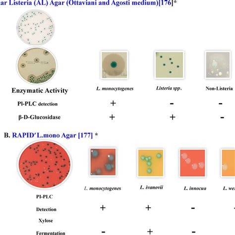 PDF Prevalence And Methodologies For Detection Characterization And