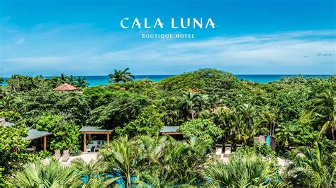 Cala Luna | Florida Branding & Web Design Agency