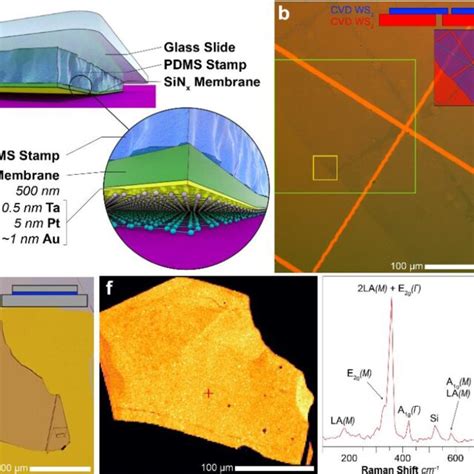 Large Area Transfer Of CVD Grown 2D Materials A Schematic Showing