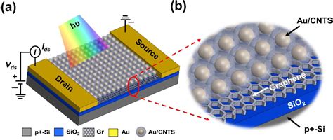 Figure From Core Shell Nanocrystals For Plasmon Enhanced