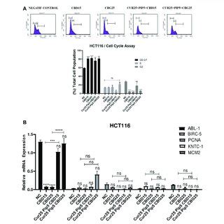 Distribution Of Cell Cycle Phases By Flow Cytometry For Hct Cells