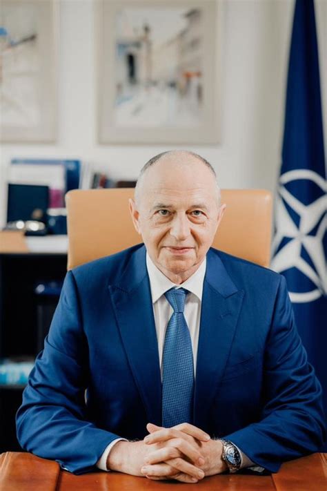 VIDEO Mesajul Secretarului General Adjunct al NATO Mircea Geoană cu