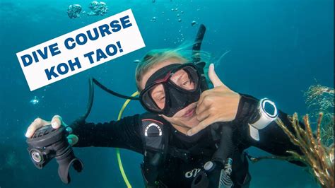 Koh Tao Diving 🐠 Padi Open Water Diver Course Youtube