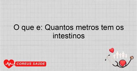 Quantos Metros Tem Os Intestinos - 6
