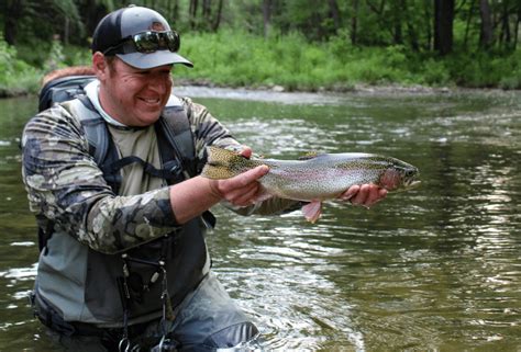 A Comprehensive Guide To The Rainbow Brown Brook And Cutthroat Trout