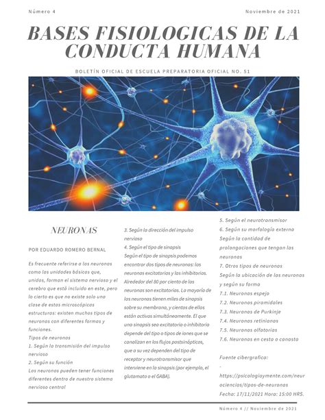 Bases Fisiologicas De La Conducta Humana Neuronas Bases