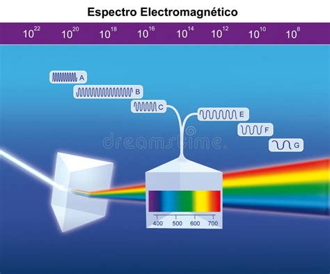 Elektromagnetisk Spectrum Vektor Illustrationer Illustration Av