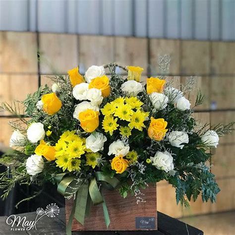 vang ruc ro cua hang hoa tuoi  flower