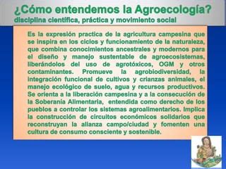 Experiencias Nationales Colectivo Agroecol Gico Del Ecuador Ppt