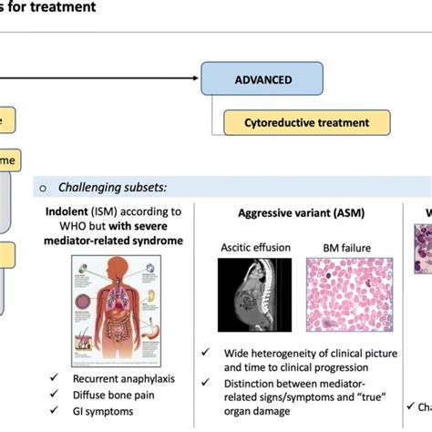 The Basis For Treatment Of Systemic Mastocytosis Is The Distinction Download Scientific Diagram