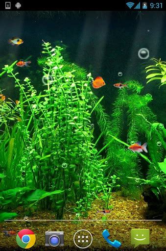 Aquarium Live Wallpaper HD - Free Download