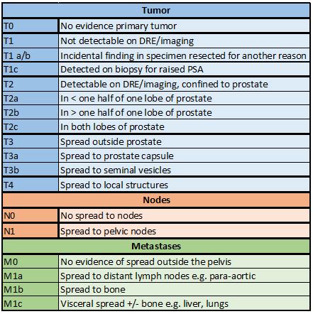 Prostate Tumor Staging Chart