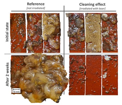 Laser Against Biofouling Eco Friendly Underwater Cleaning Of Ship