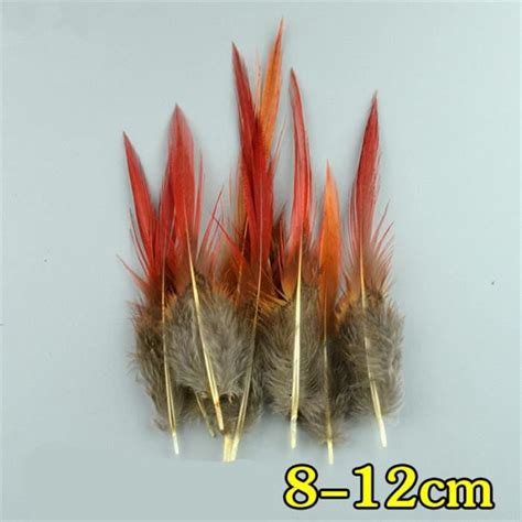 PLUME DE DECORATION 8 12 CM 100 Pcs Plumes De Paon Et De Faisan